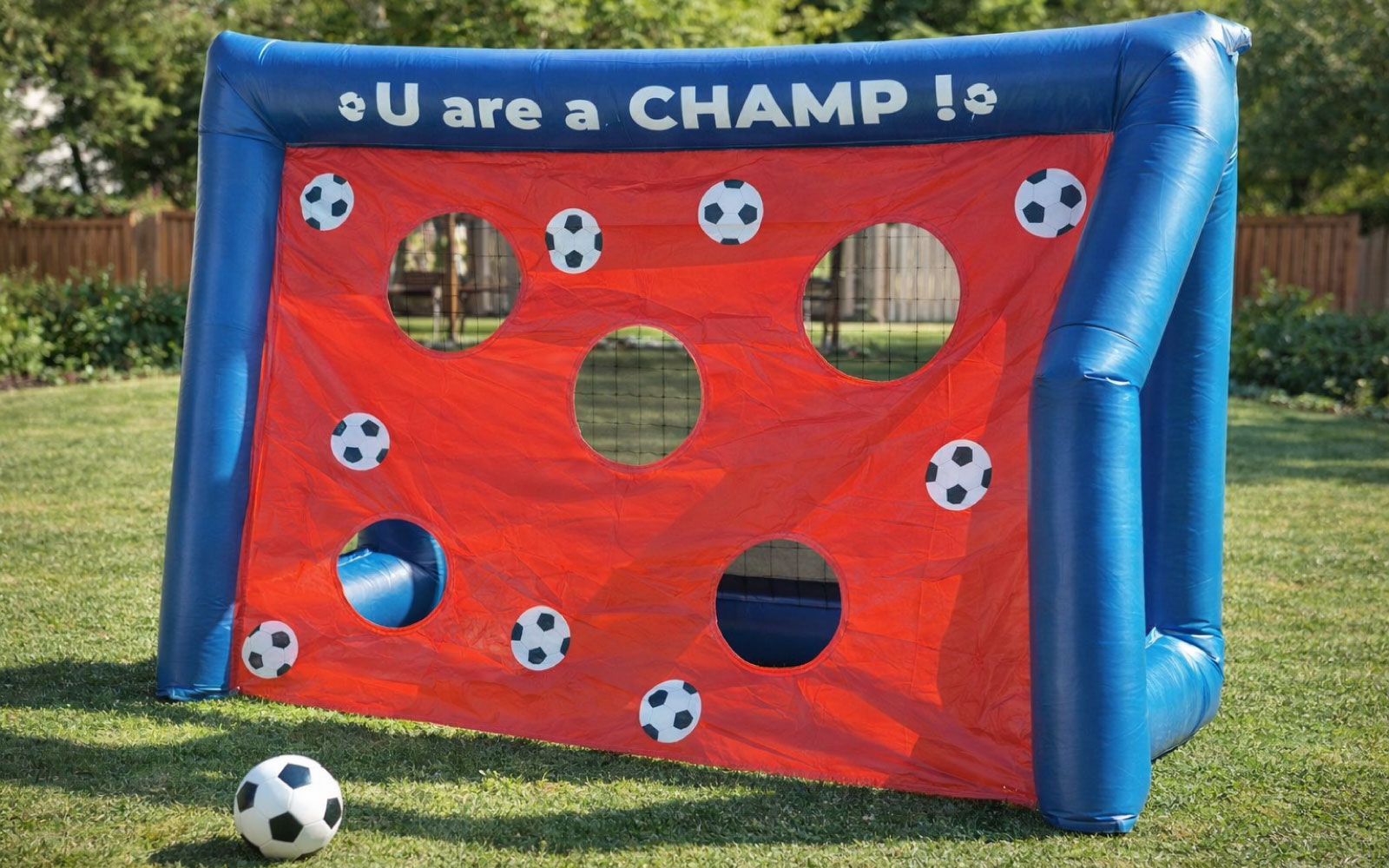 Goal Post with Balls